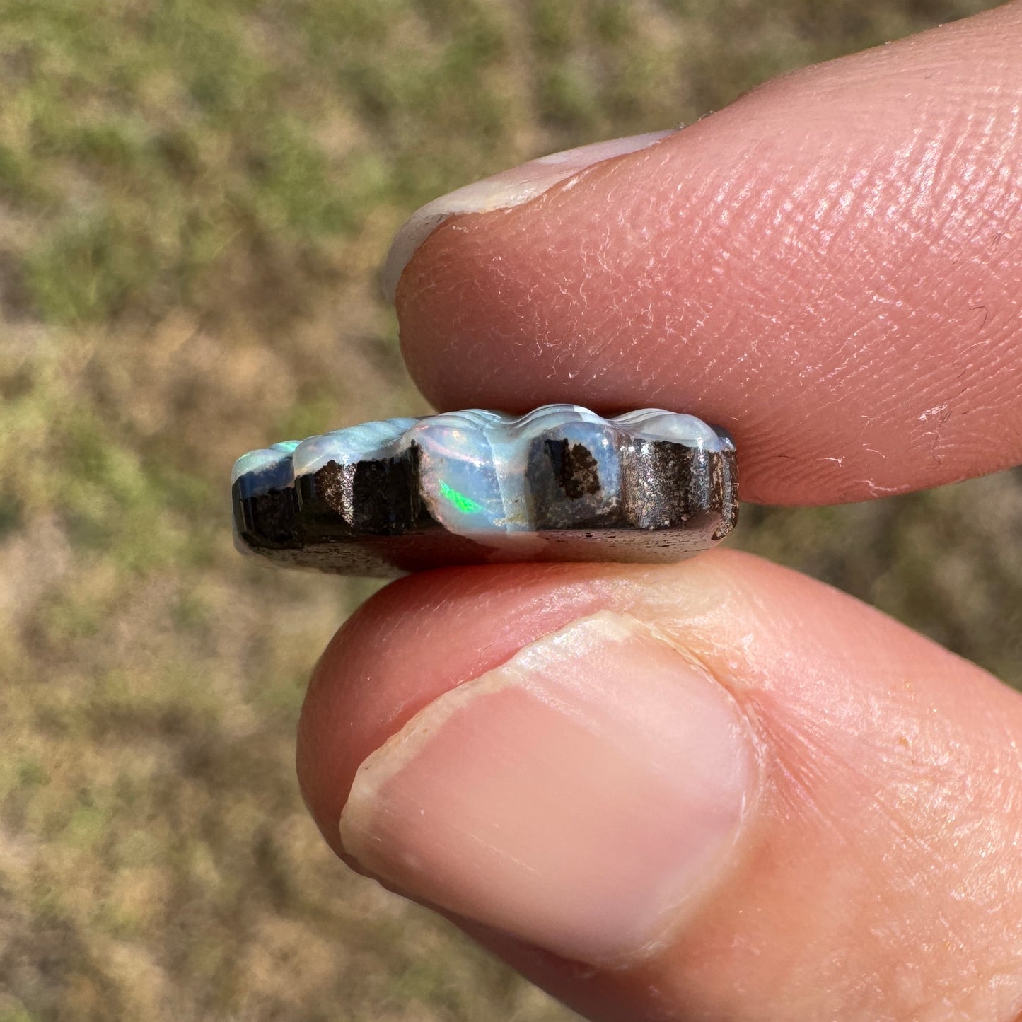 6.53 Ct shell boulder opal carving