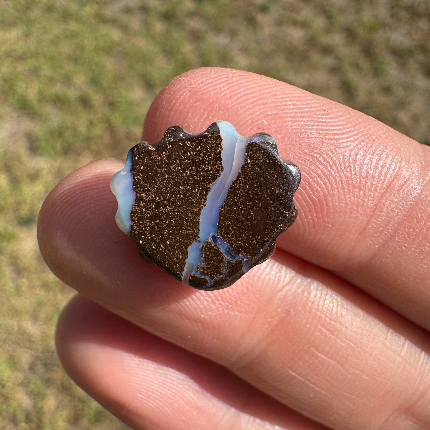6.53 Ct shell boulder opal carving