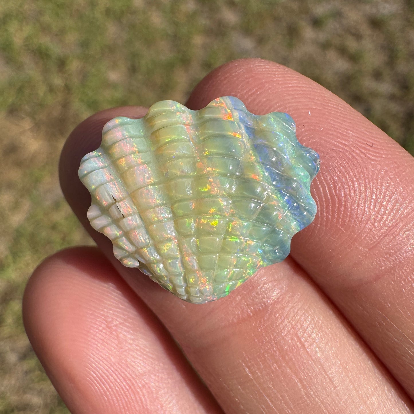 12.01 Ct shell boulder opal carving