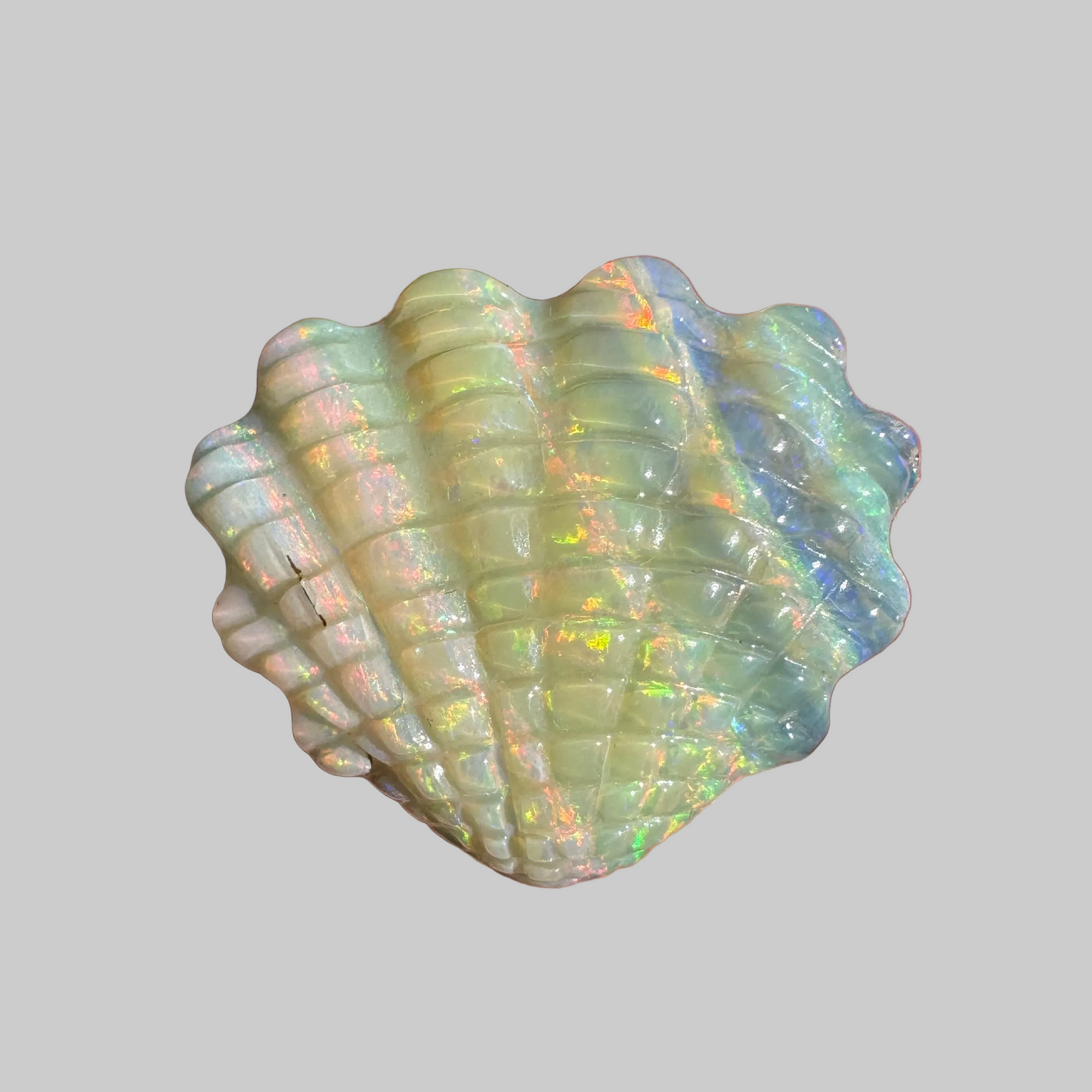 12.01 Ct shell boulder opal carving