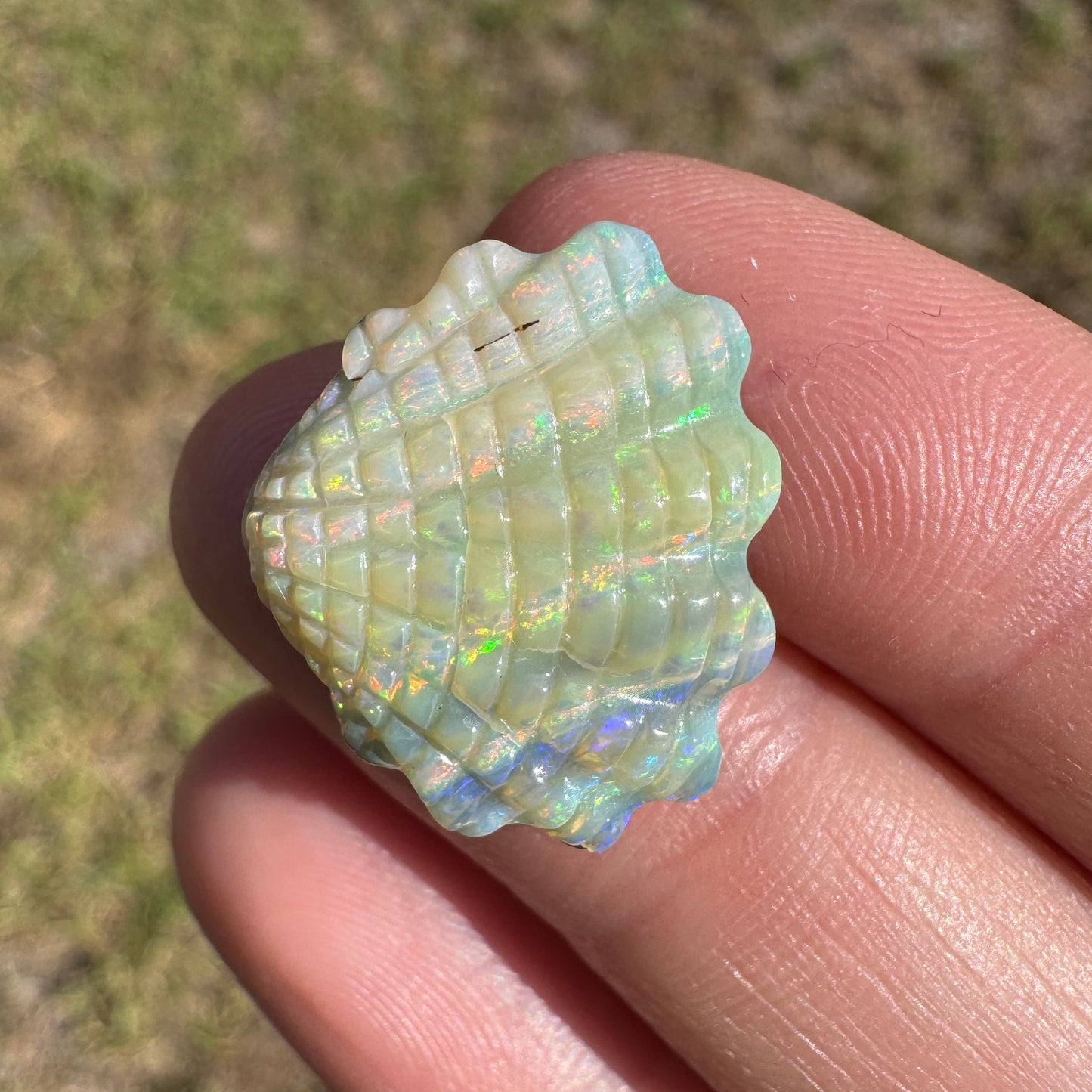 12.01 Ct shell boulder opal carving