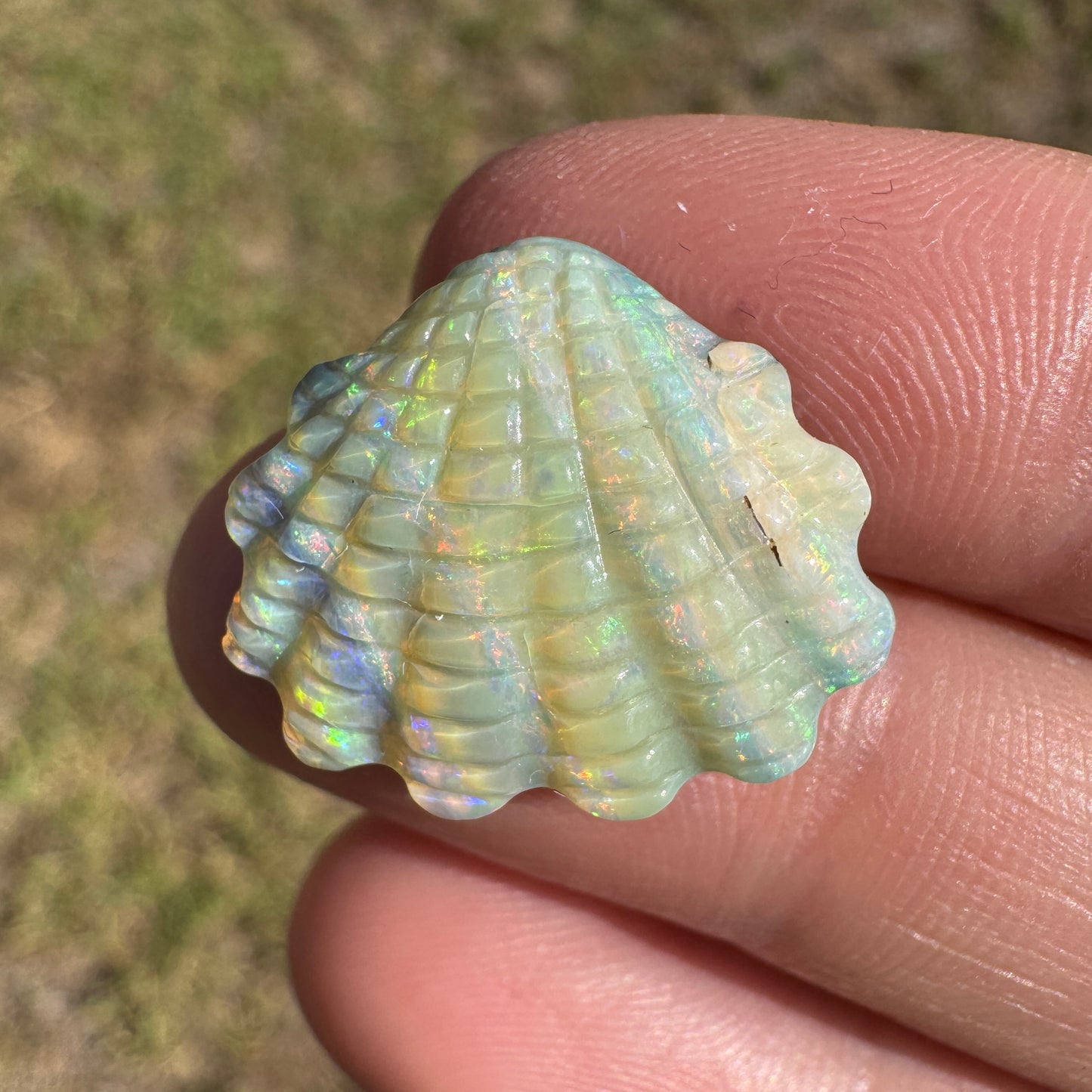 12.01 Ct shell boulder opal carving