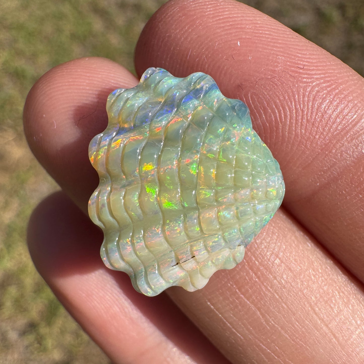12.01 Ct shell boulder opal carving