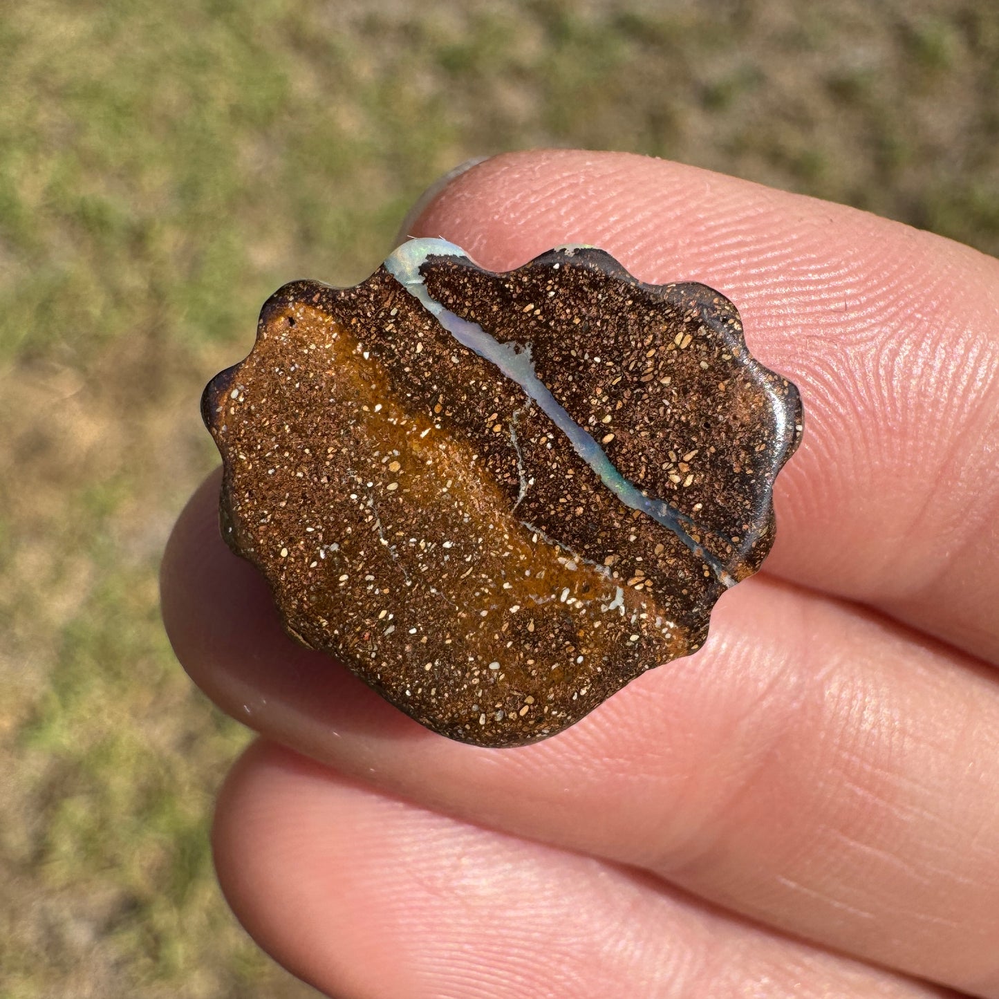 12.01 Ct shell boulder opal carving