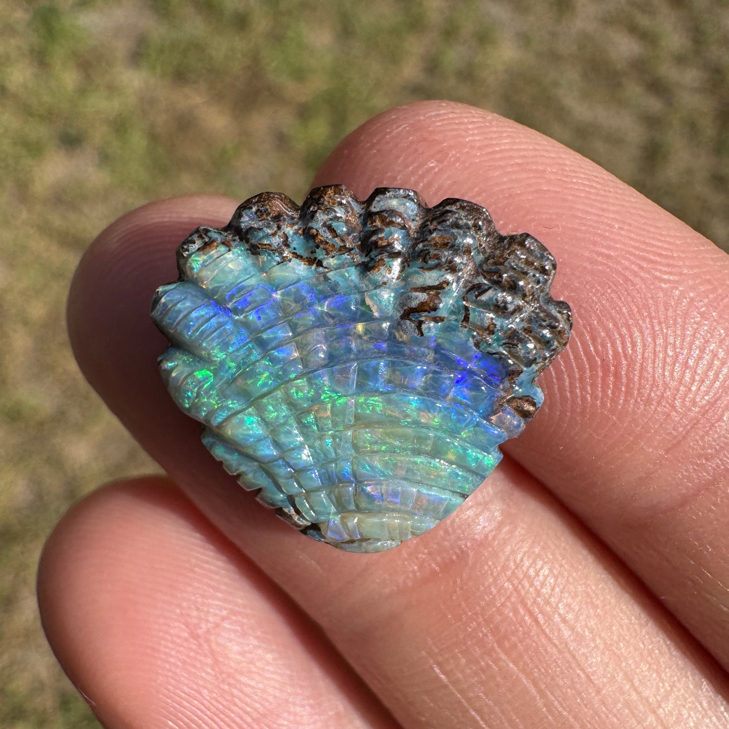 9.55 Ct shell boulder opal carving