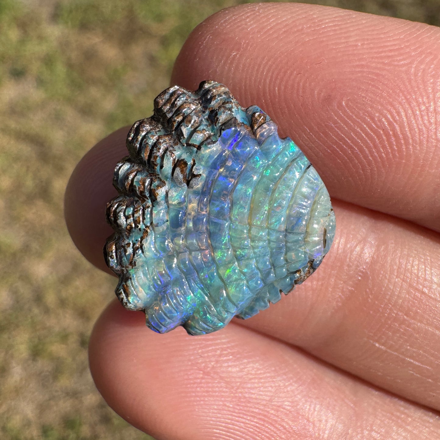 9.55 Ct shell boulder opal carving