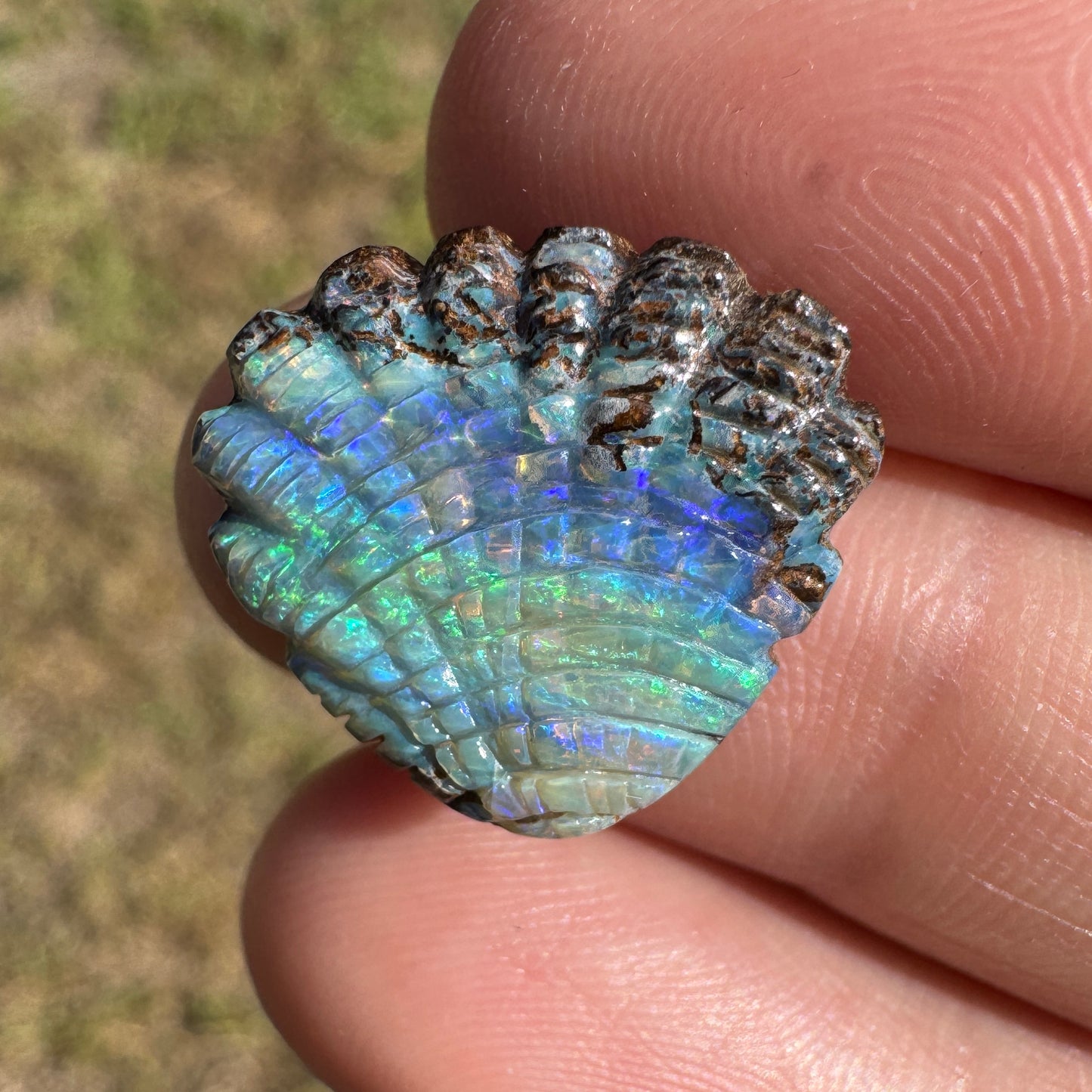 9.55 Ct shell boulder opal carving