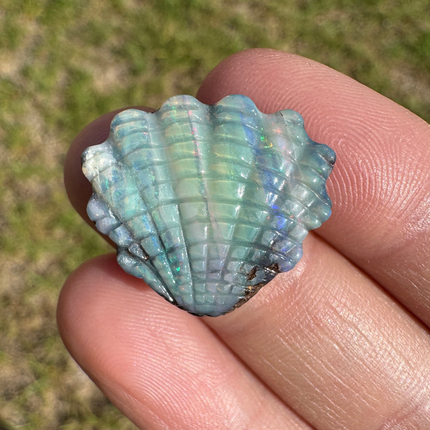 12.93 Ct shell boulder opal carving