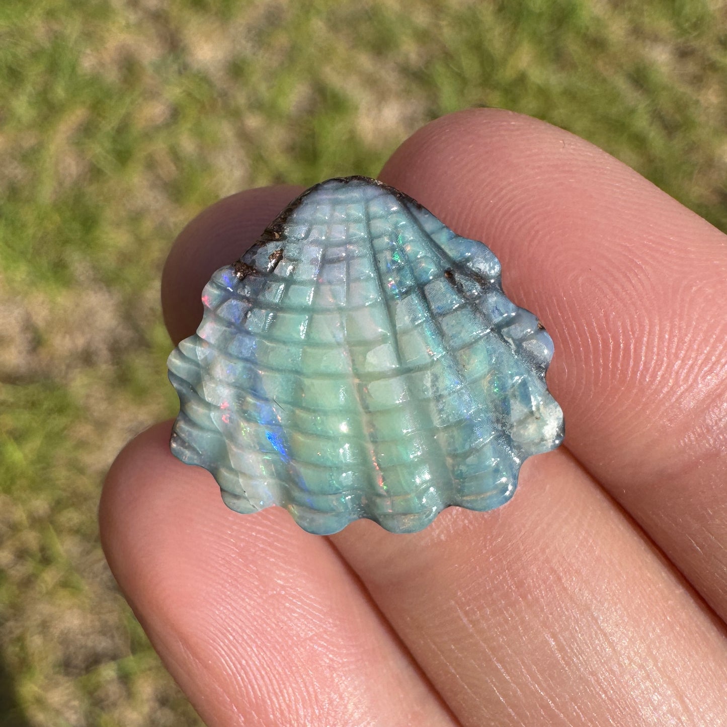 12.93 Ct shell boulder opal carving