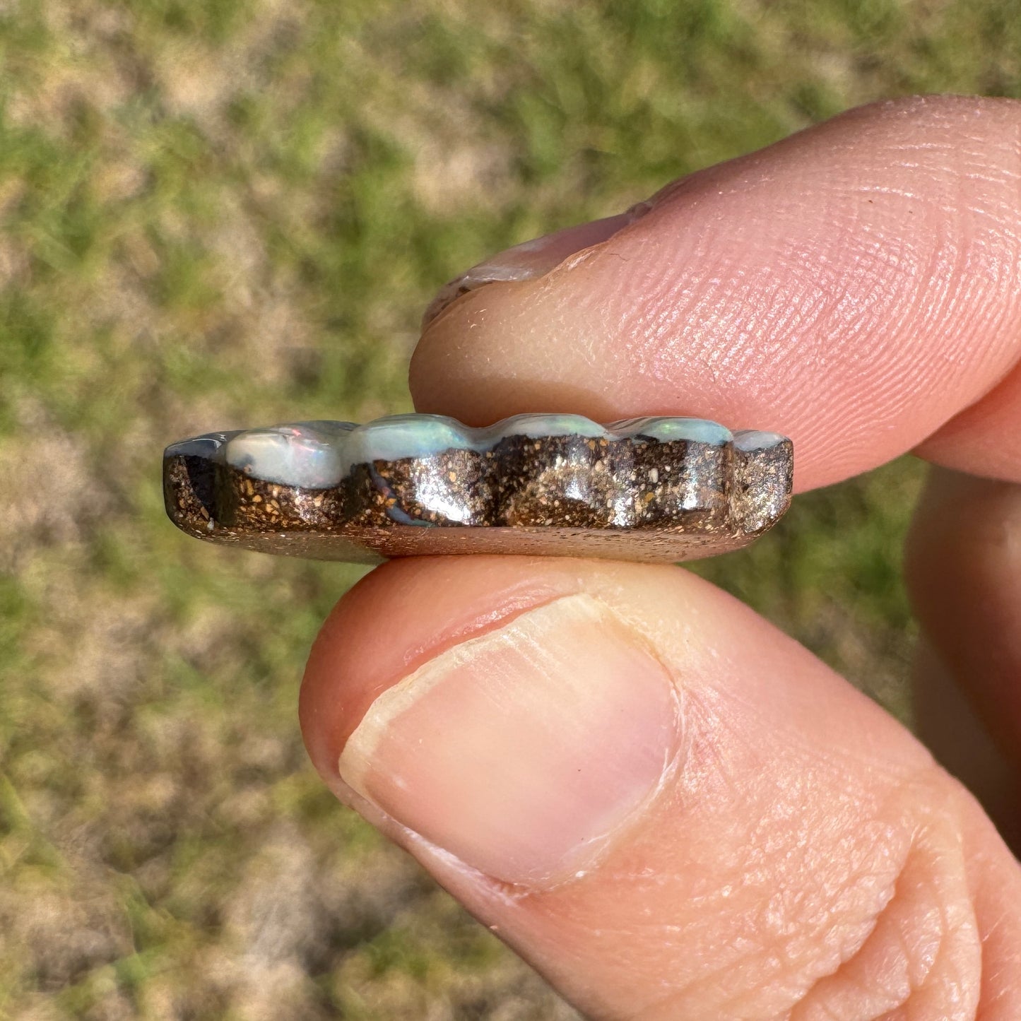 12.93 Ct shell boulder opal carving