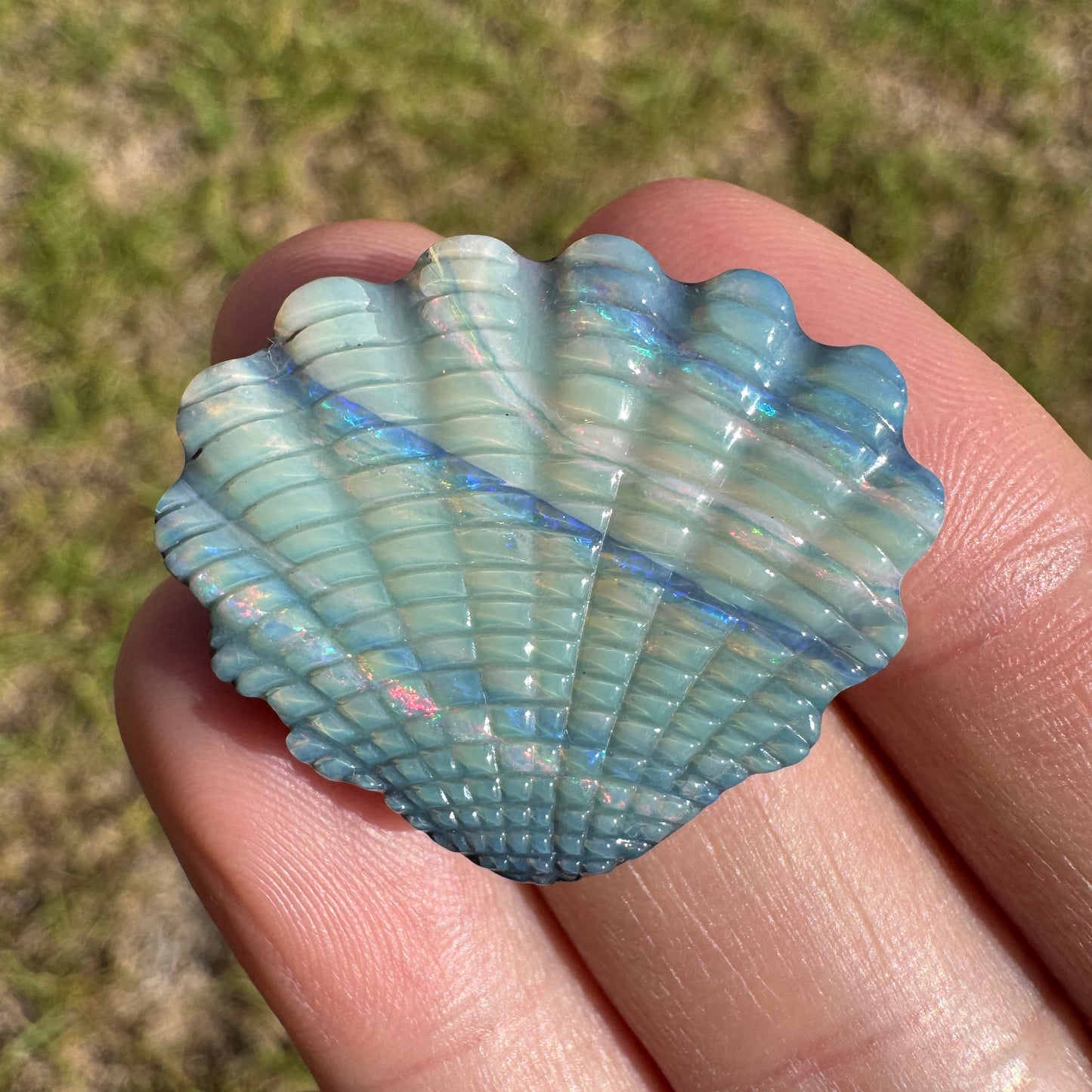 29.46 Ct large shell boulder opal carving