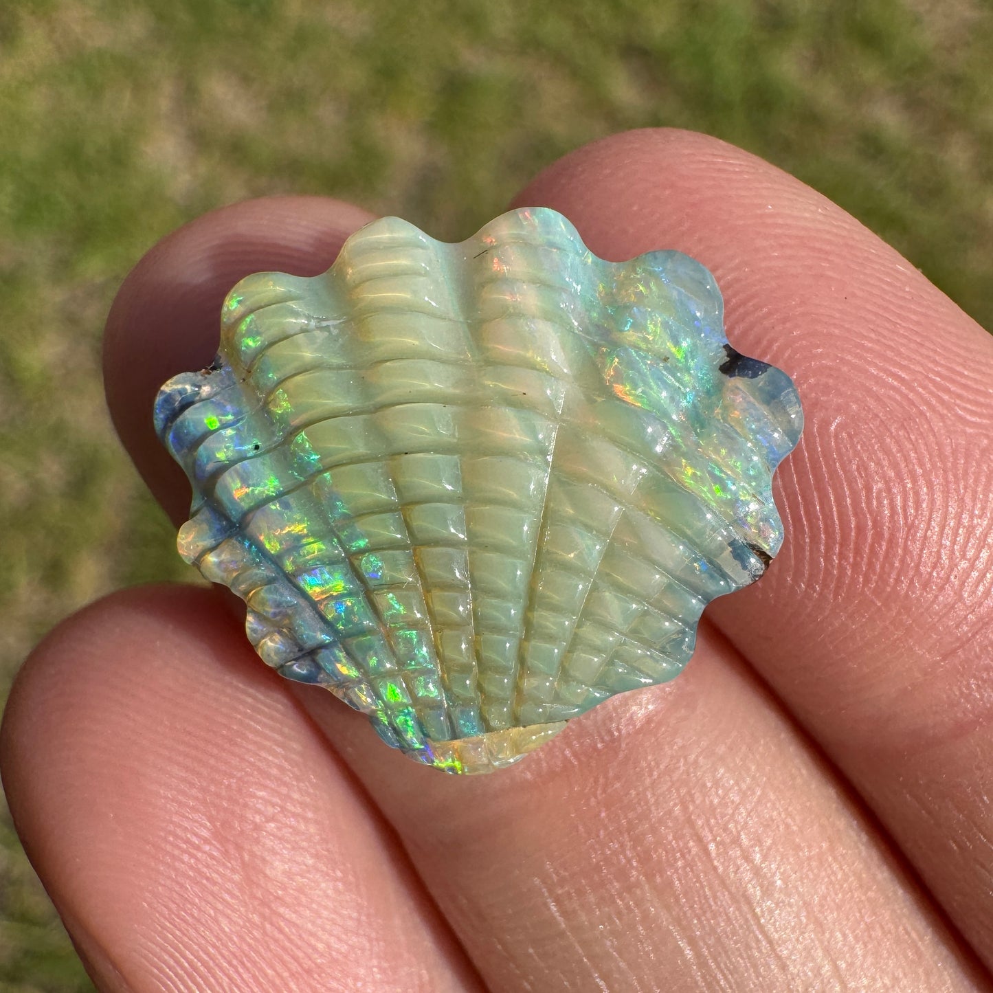 11.16 Ct shell boulder opal carving