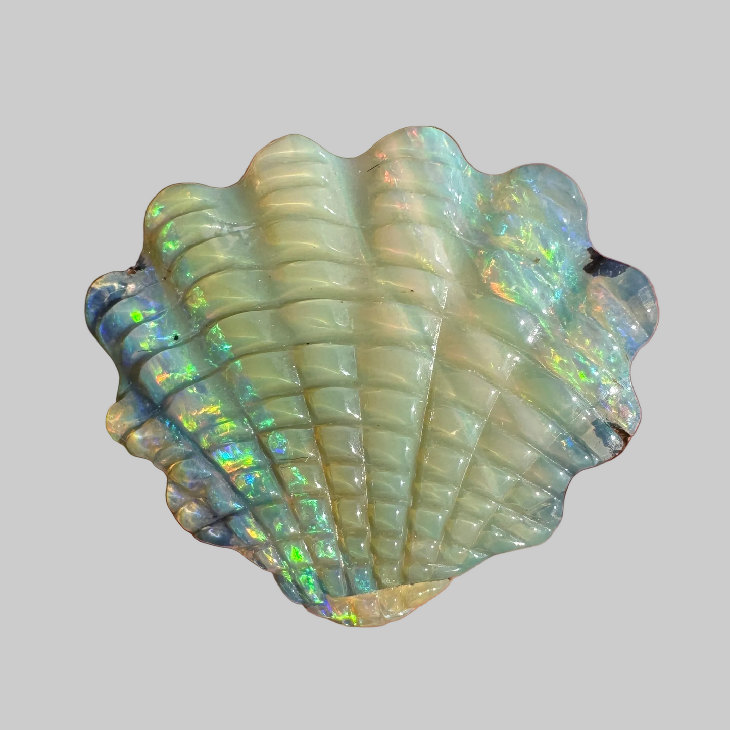 11.16 Ct shell boulder opal carving