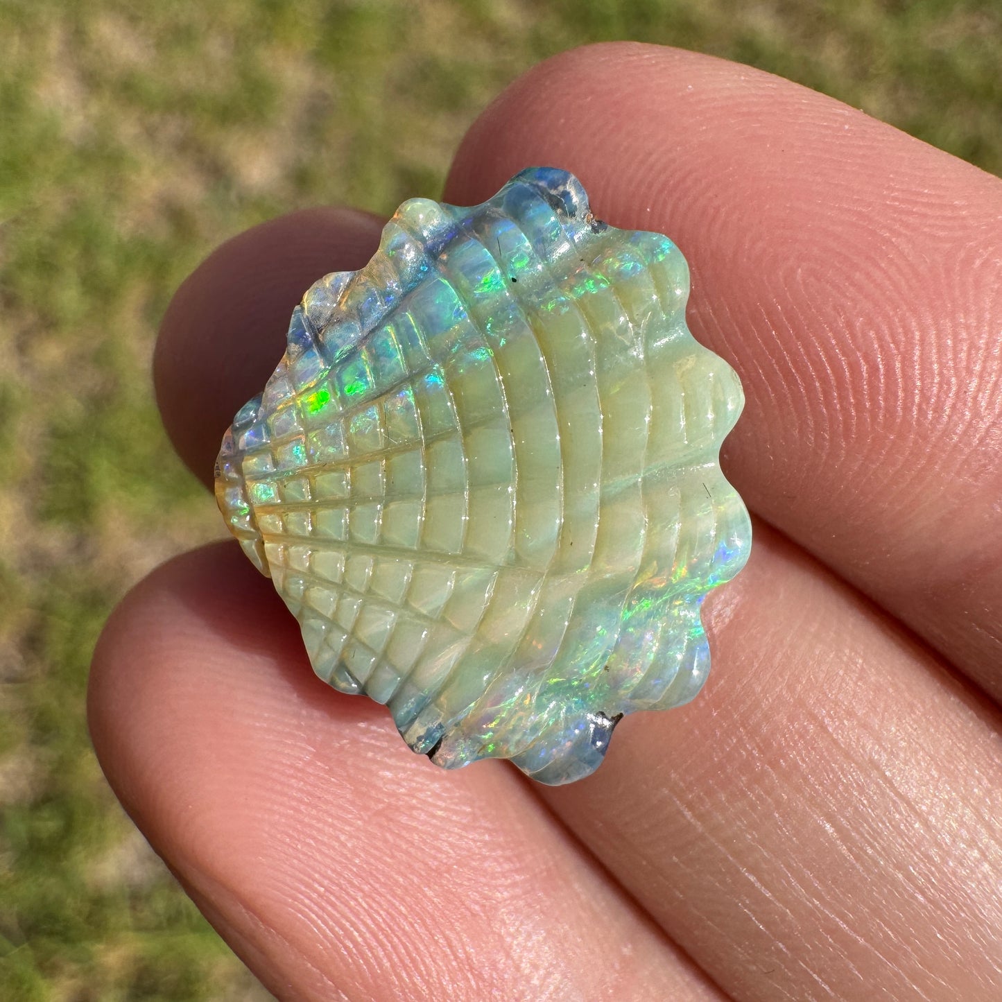 11.16 Ct shell boulder opal carving