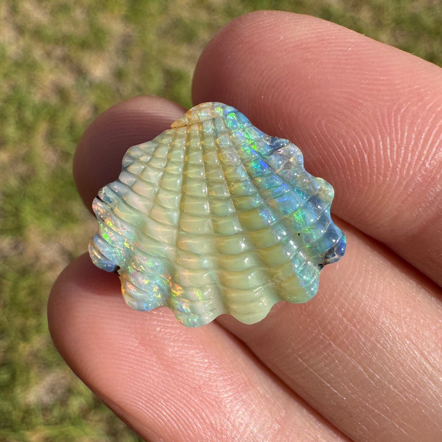 11.16 Ct shell boulder opal carving