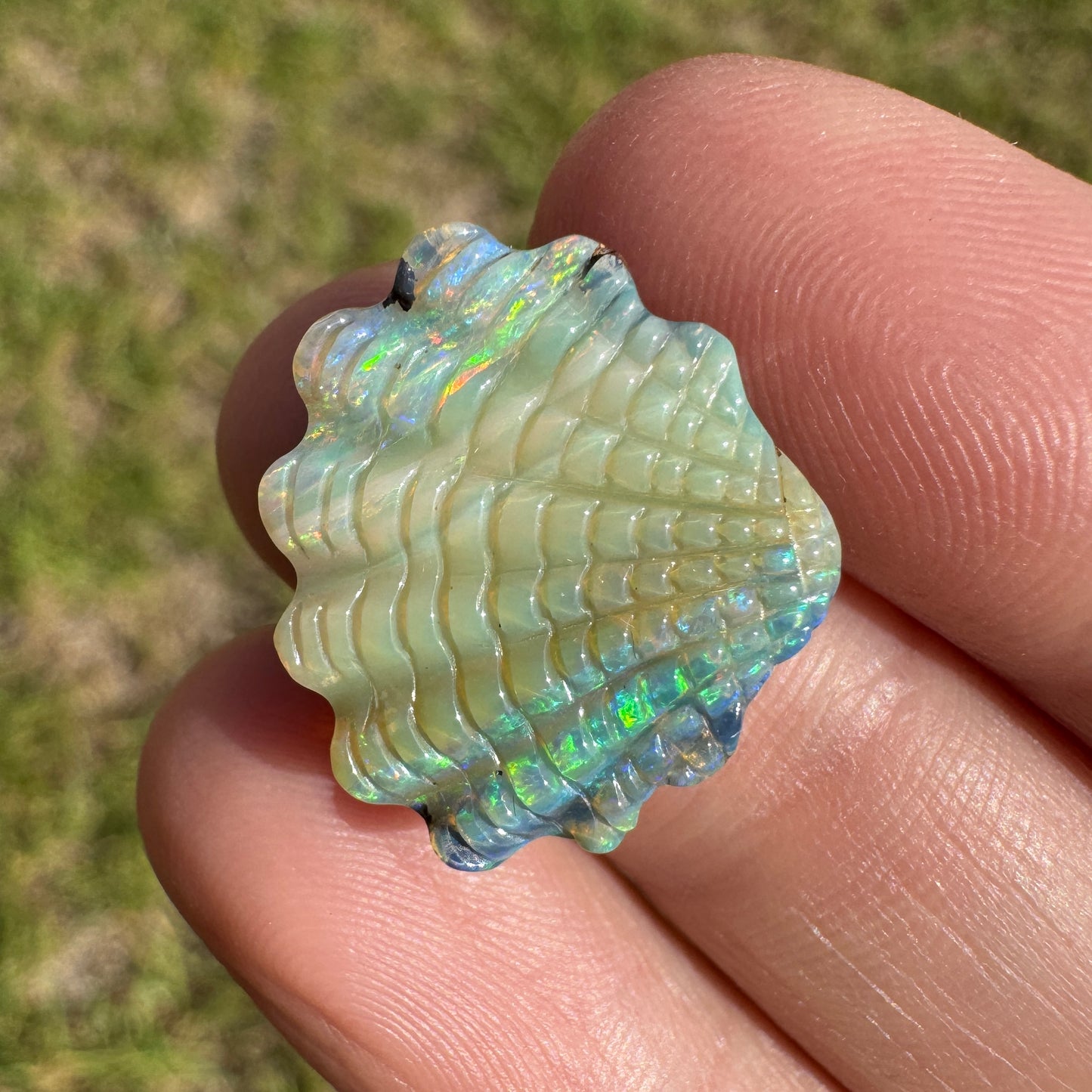 11.16 Ct shell boulder opal carving