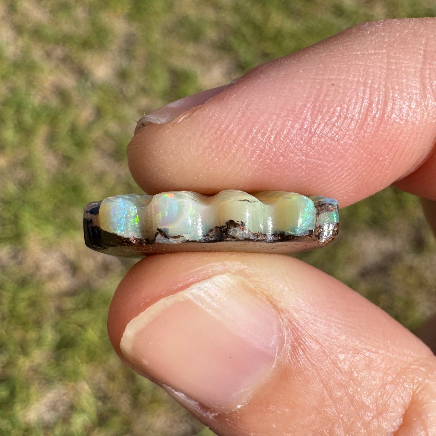 11.16 Ct shell boulder opal carving