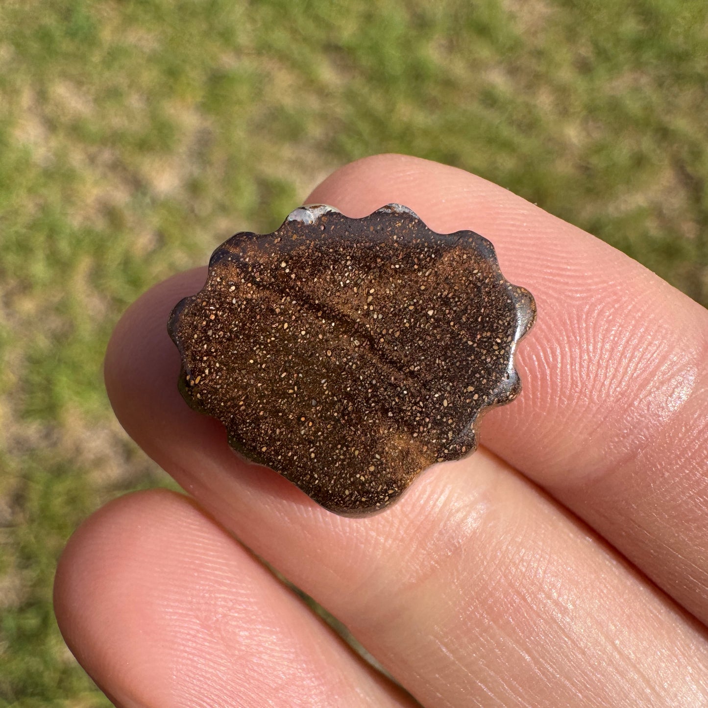 11.16 Ct shell boulder opal carving