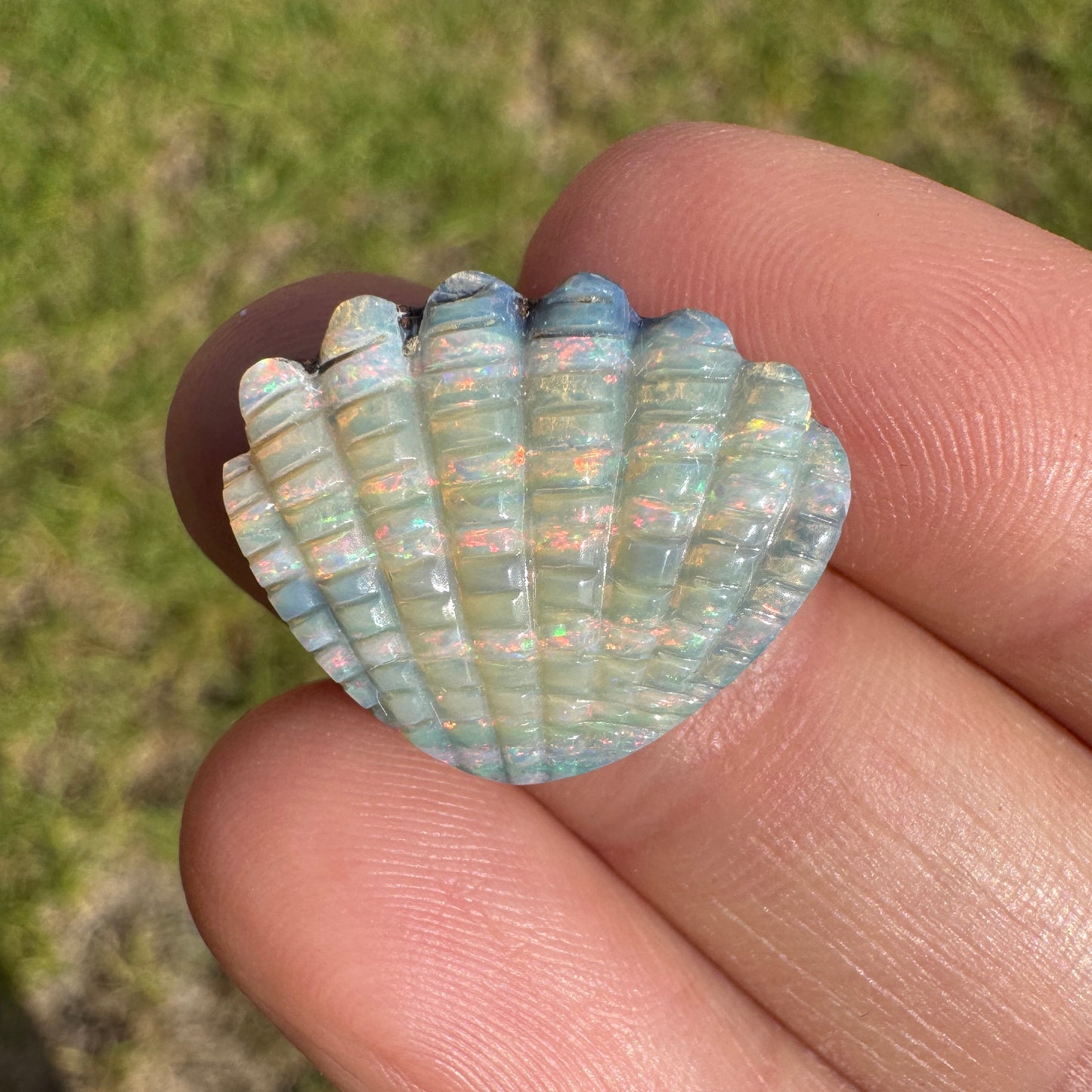 10.54 Ct shell boulder opal carving