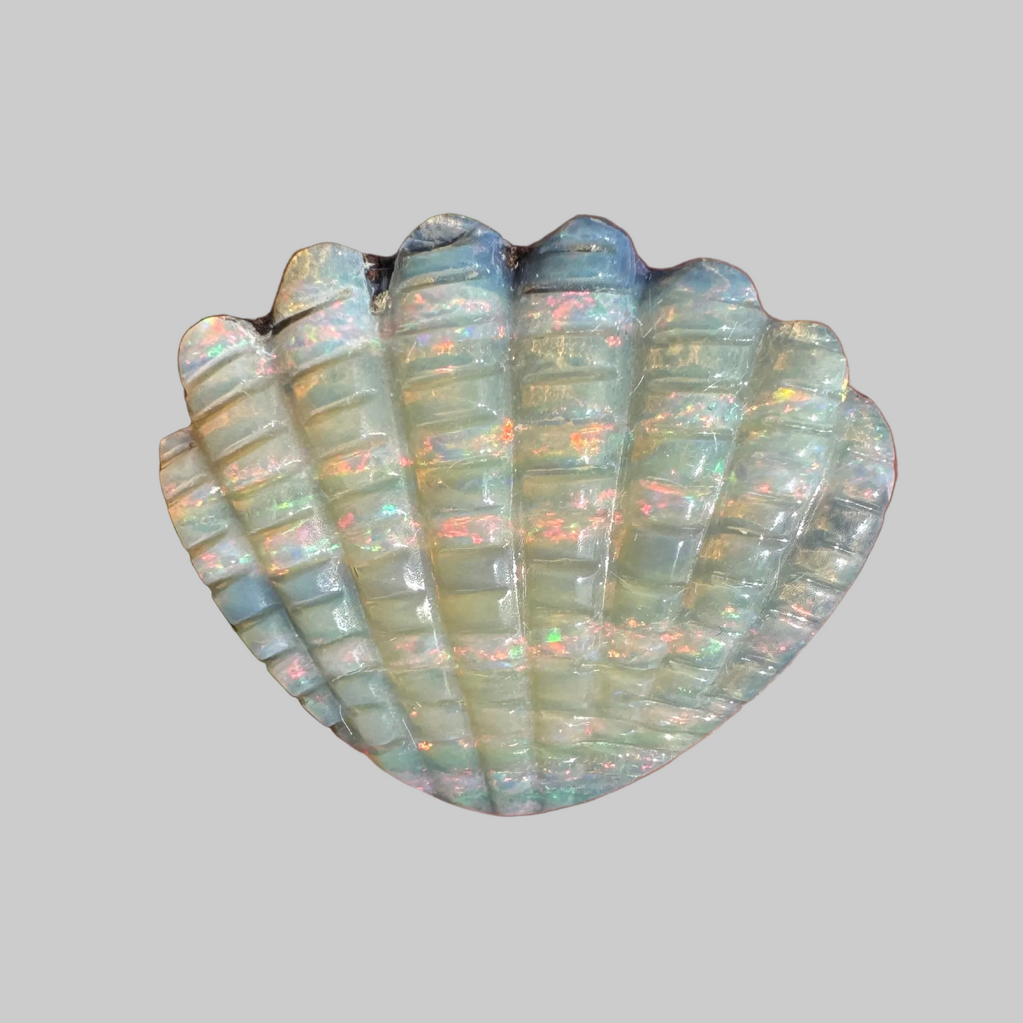 10.54 Ct shell boulder opal carving