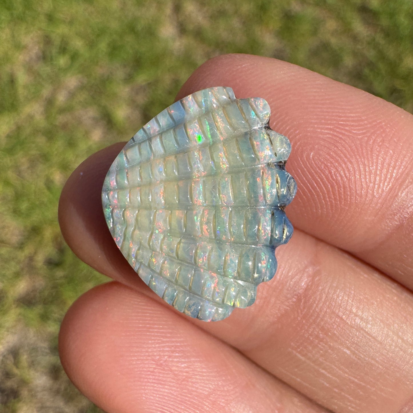 10.54 Ct shell boulder opal carving