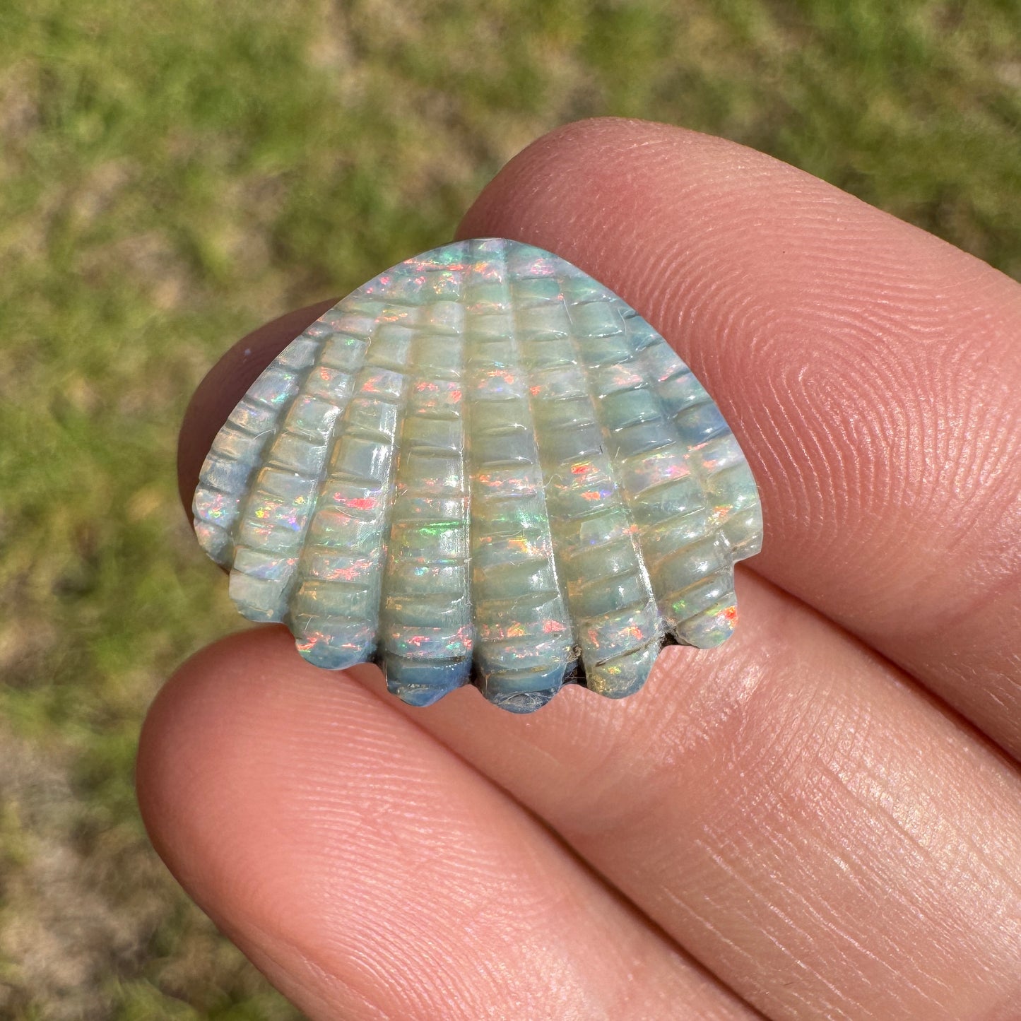 10.54 Ct shell boulder opal carving