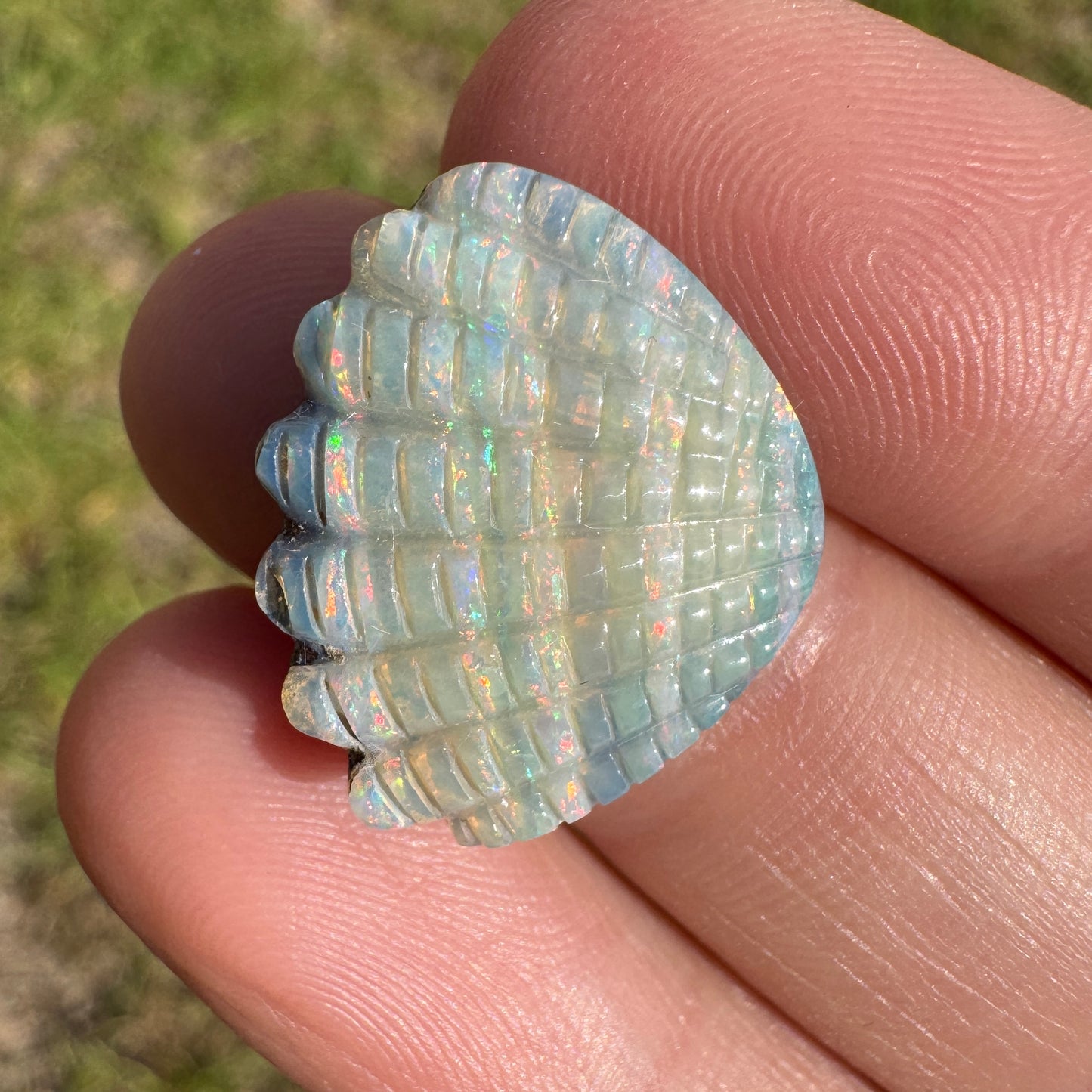 10.54 Ct shell boulder opal carving