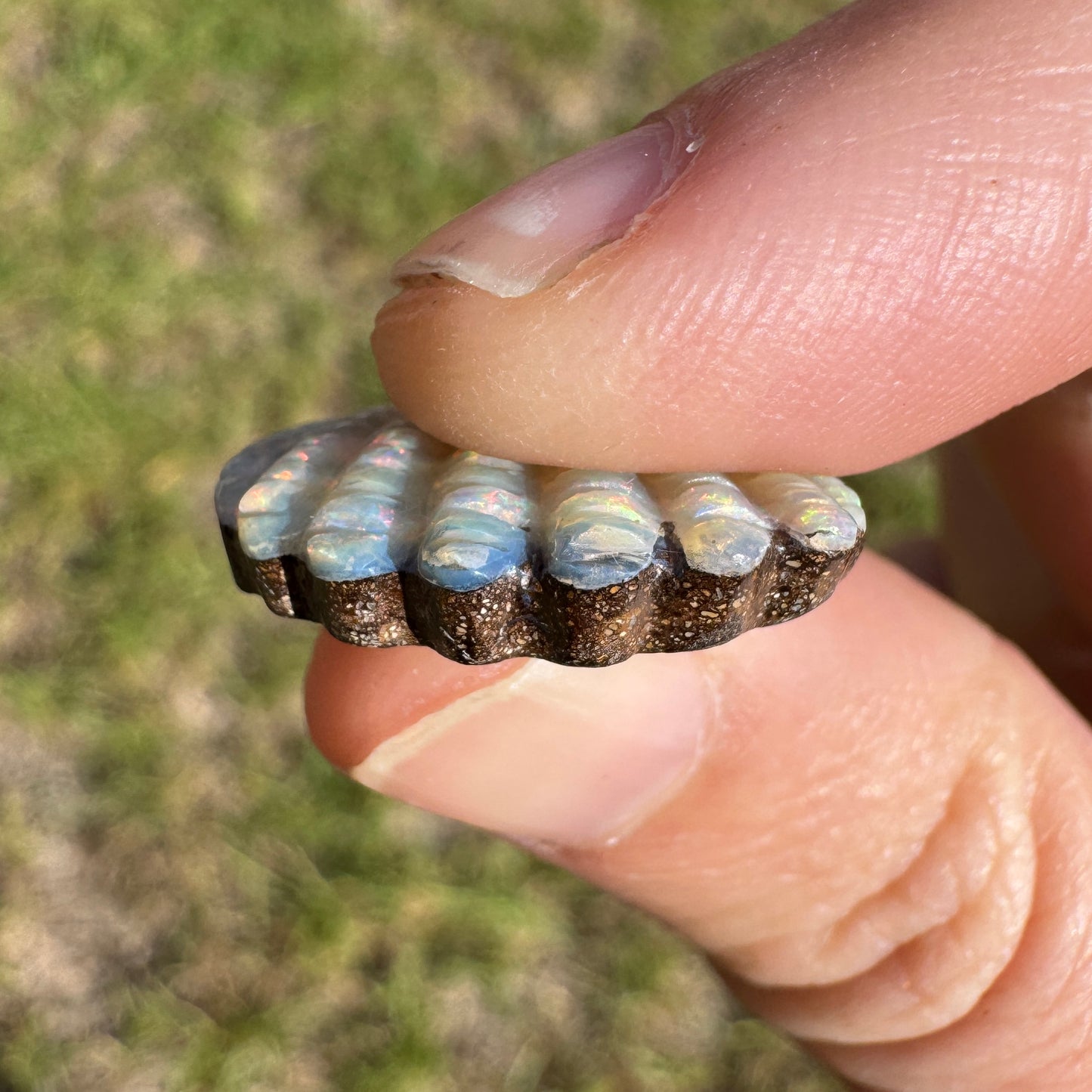 10.54 Ct shell boulder opal carving
