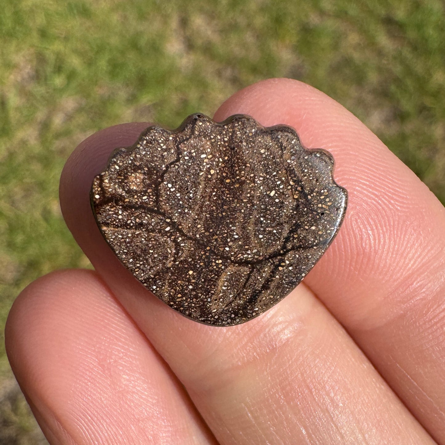 10.54 Ct shell boulder opal carving