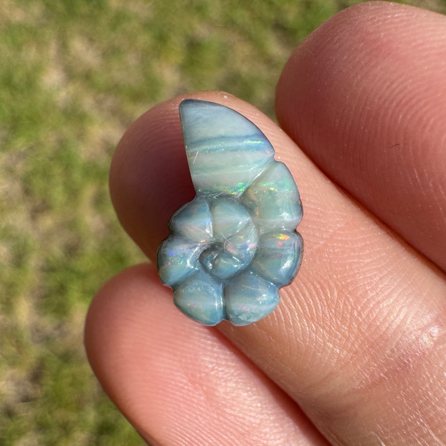 2.99 Ct spiral shell boulder opal carving