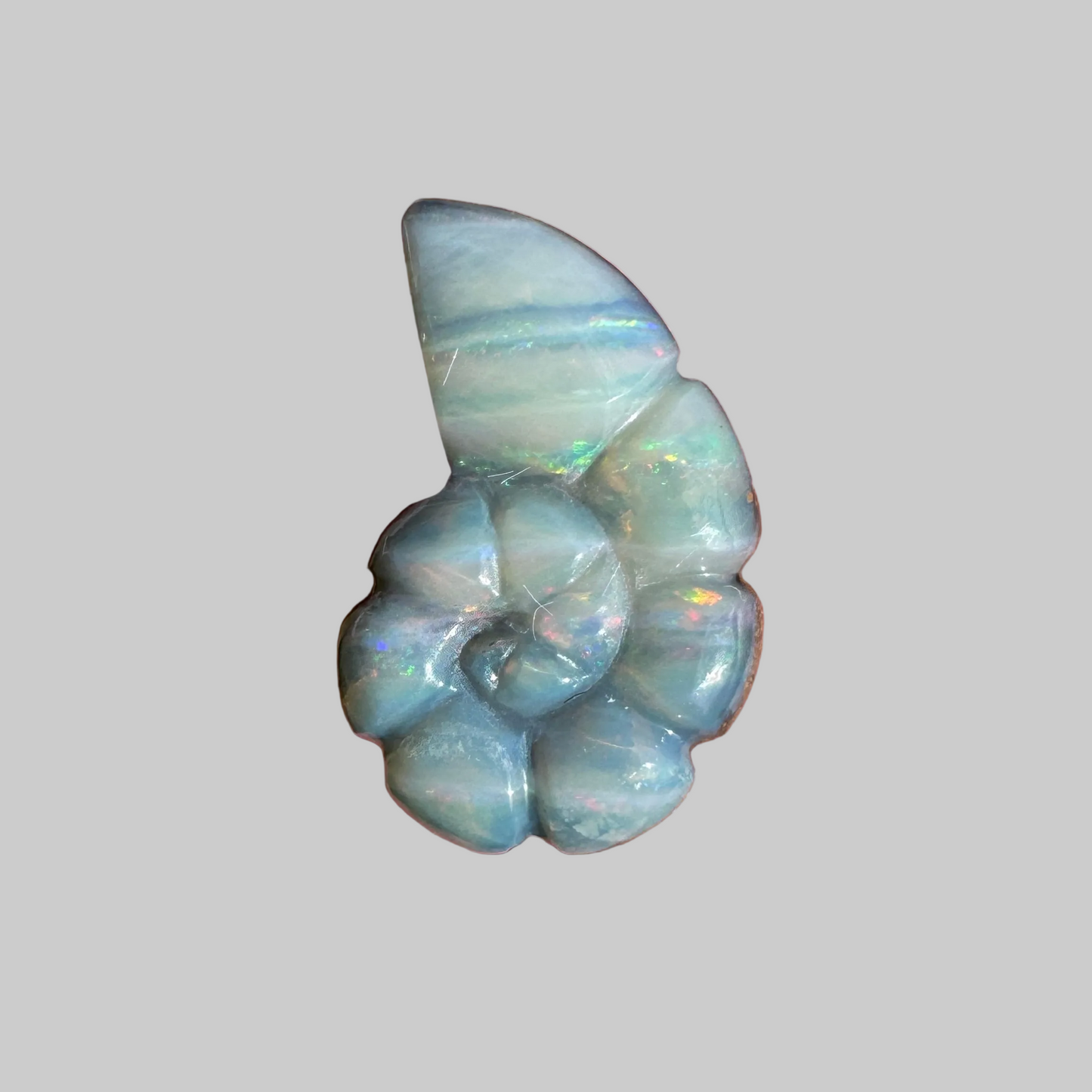 2.99 Ct spiral shell boulder opal carving