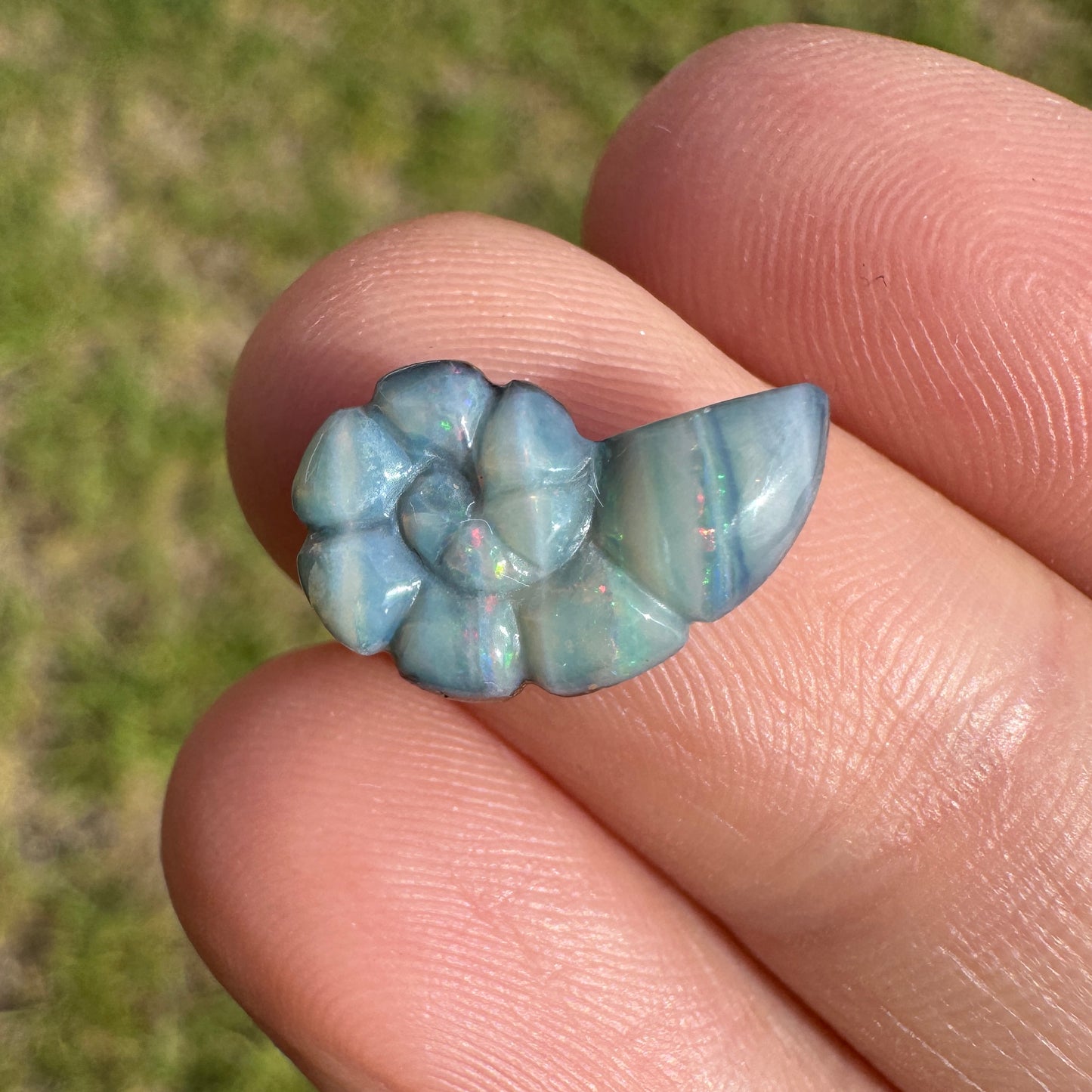 2.99 Ct spiral shell boulder opal carving