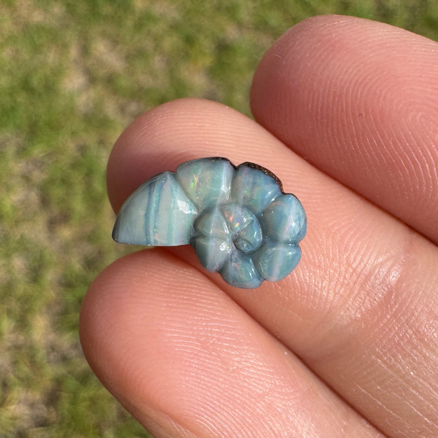 2.99 Ct spiral shell boulder opal carving