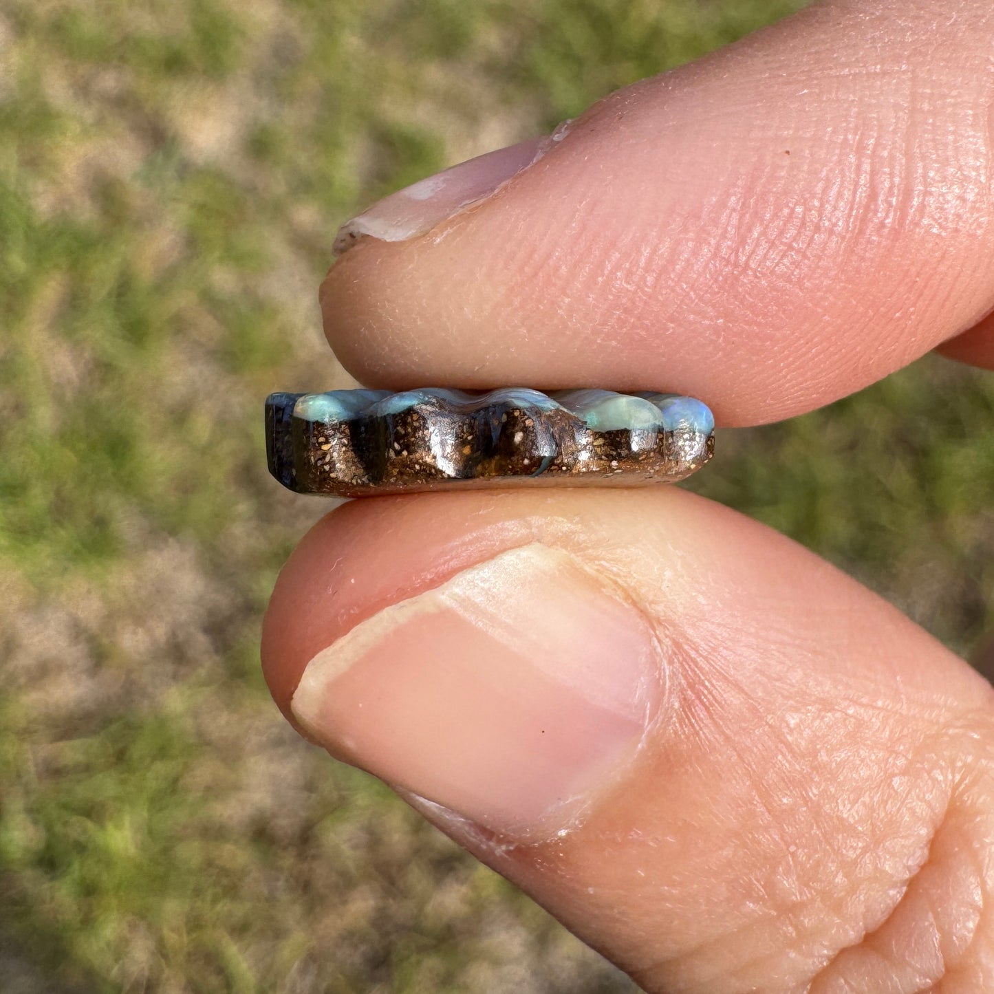 5.52 Ct shell boulder opal carving