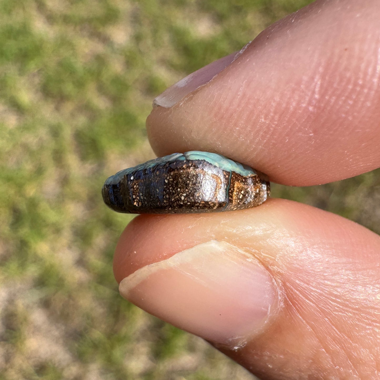 4.74 Ct shell boulder opal carving
