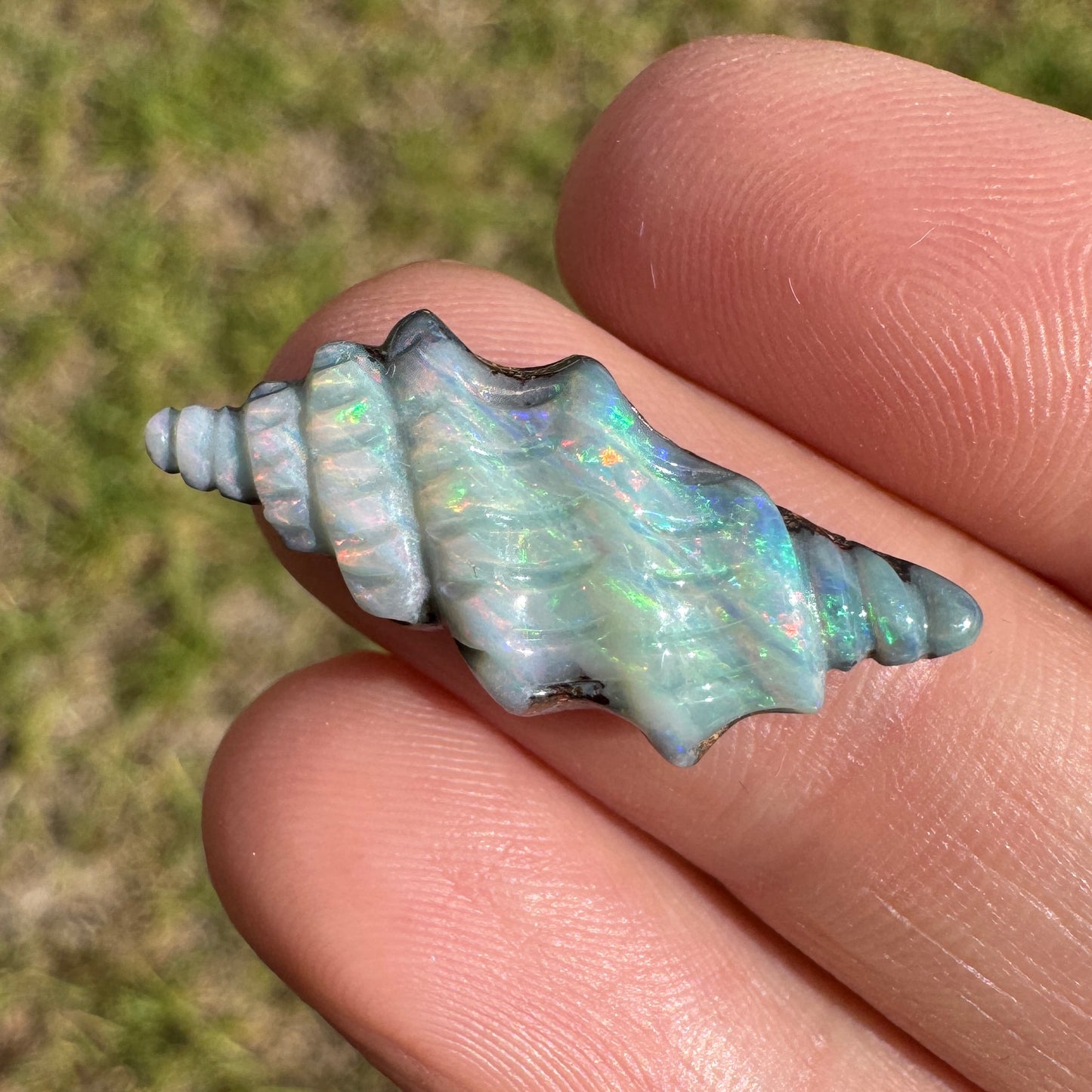 7.35 Ct spiral shell boulder opal carving