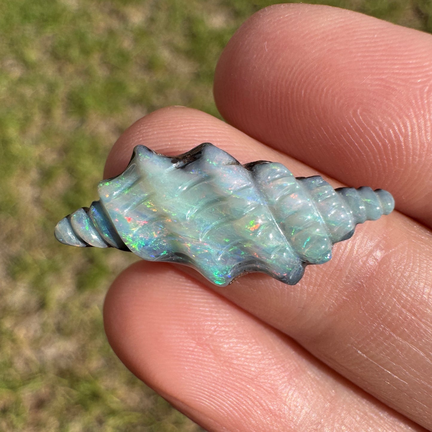 7.35 Ct spiral shell boulder opal carving