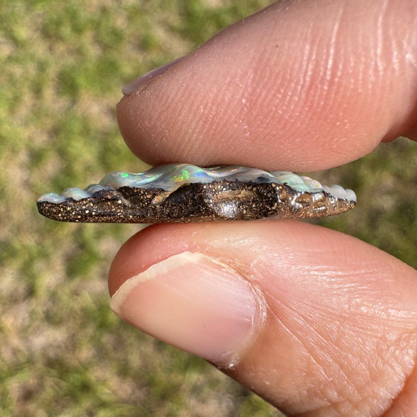 7.35 Ct spiral shell boulder opal carving