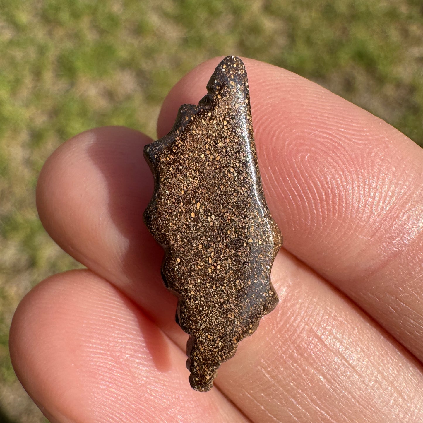 7.35 Ct spiral shell boulder opal carving