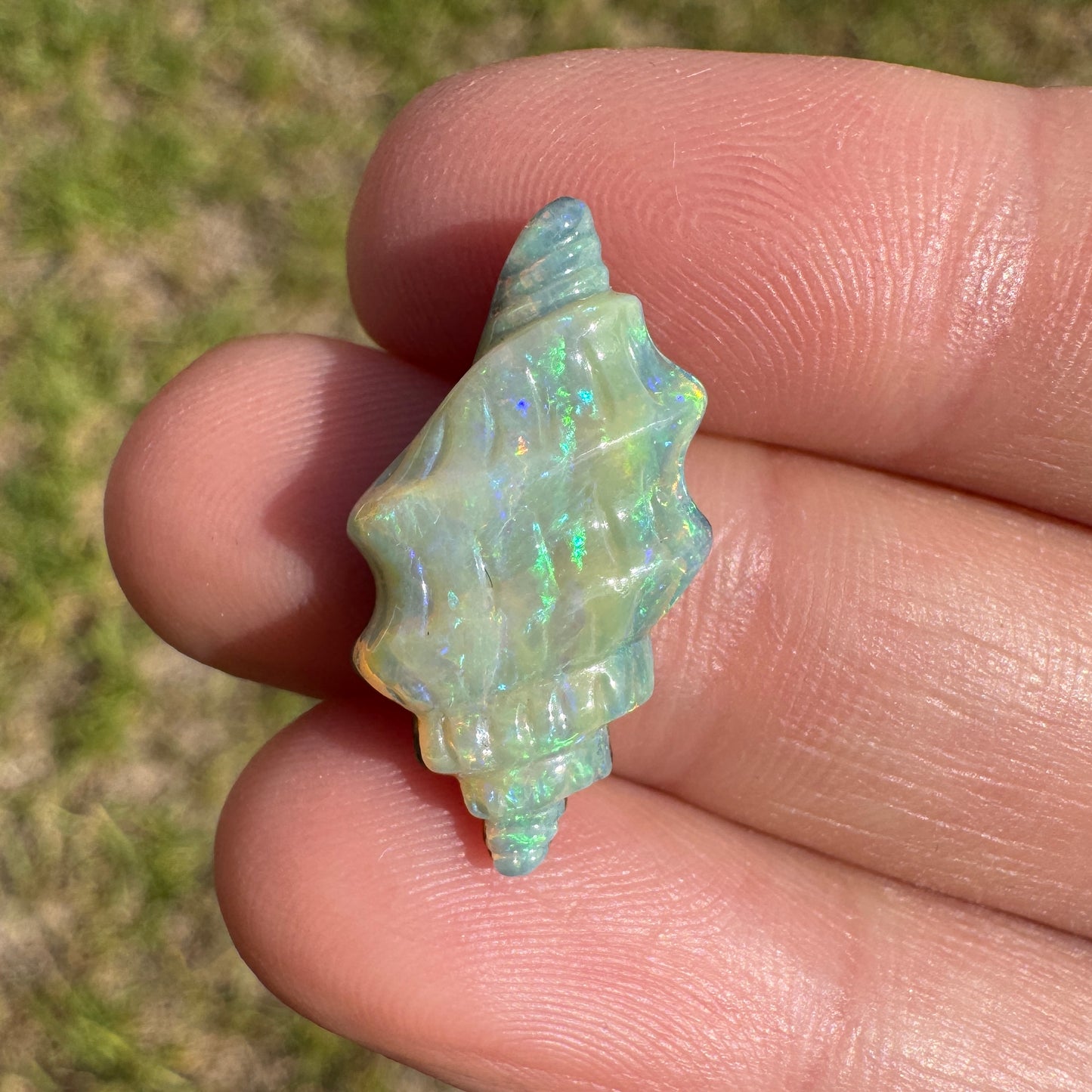 6.61 Ct spiral shell boulder opal carving