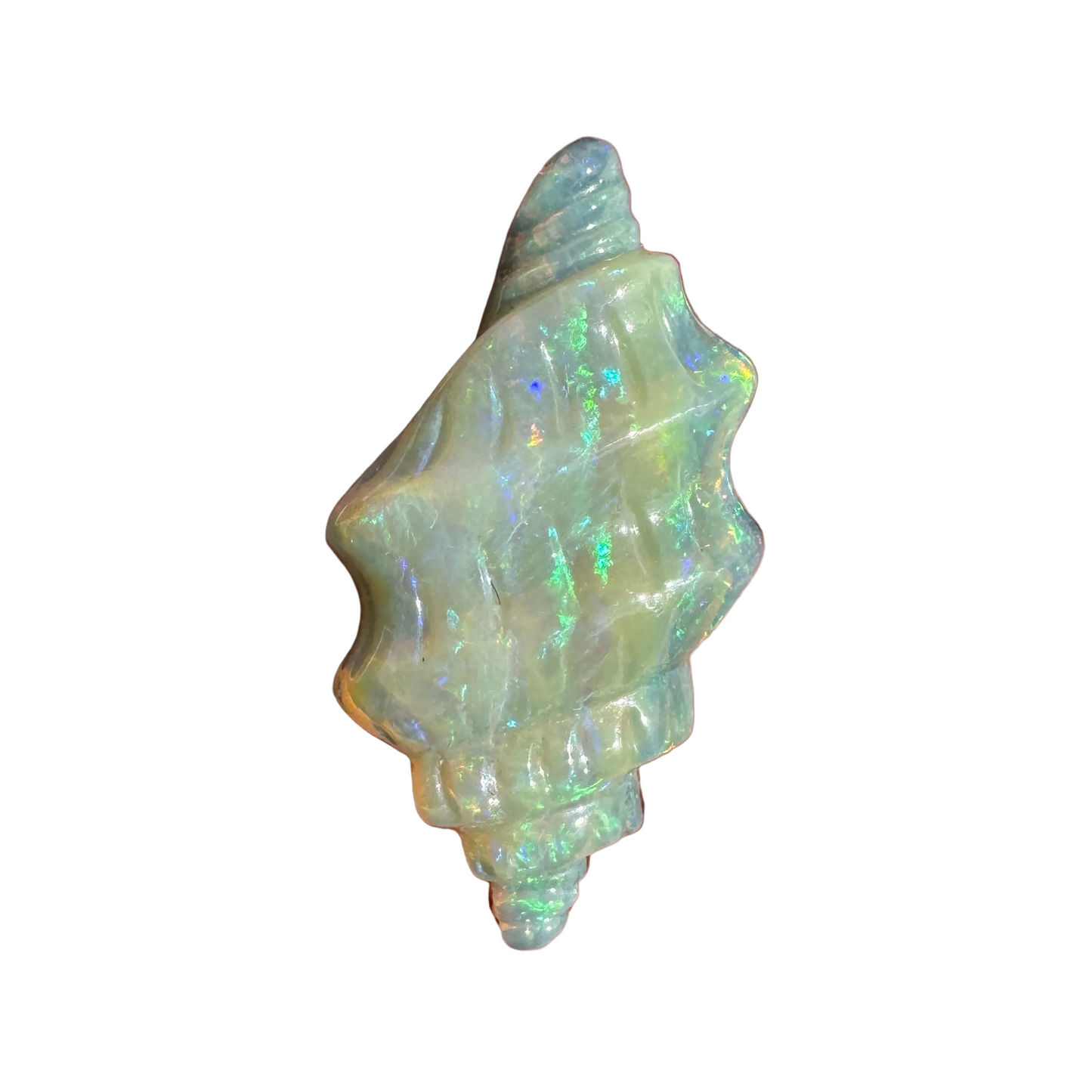 6.61 Ct spiral shell boulder opal carving