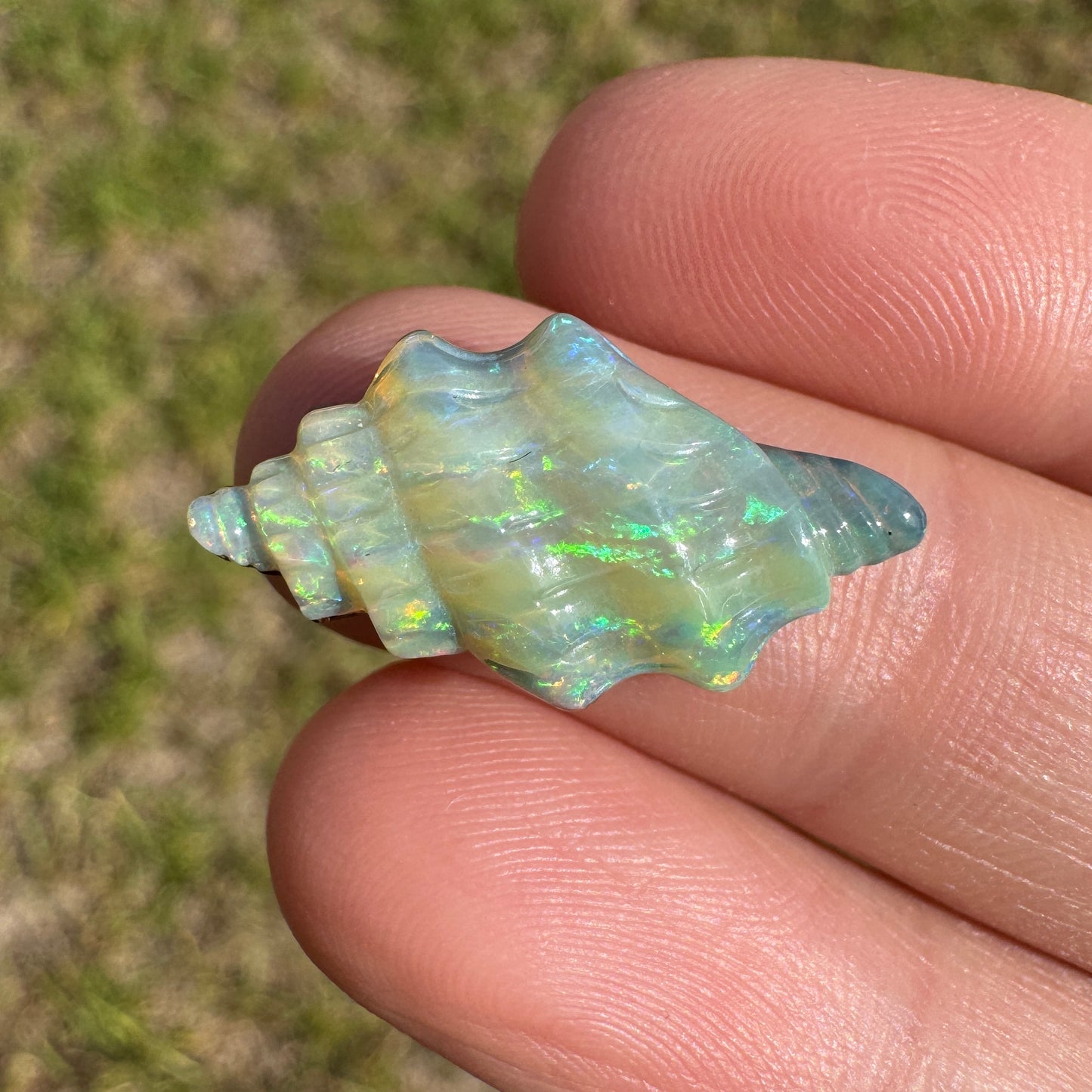 6.61 Ct spiral shell boulder opal carving
