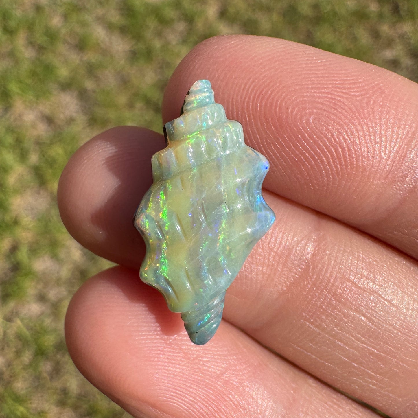 6.61 Ct spiral shell boulder opal carving