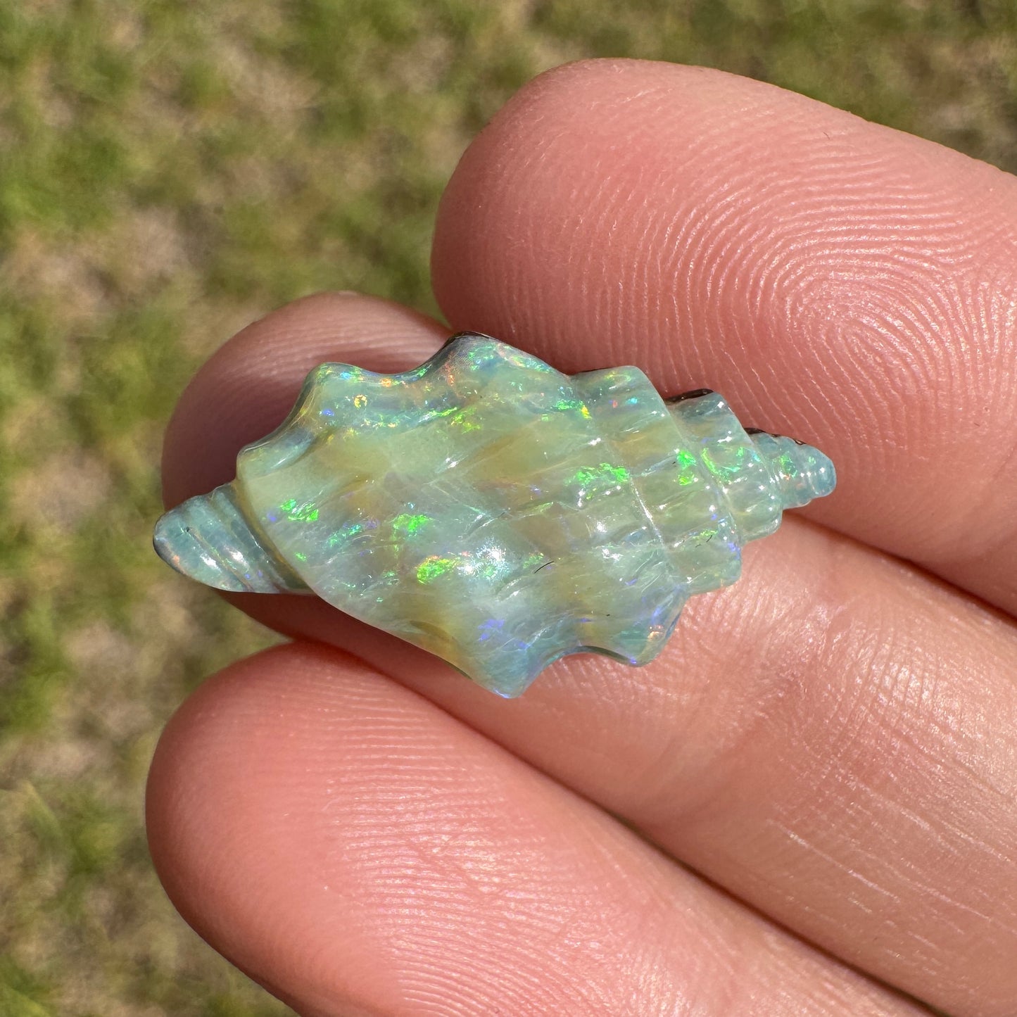 6.61 Ct spiral shell boulder opal carving