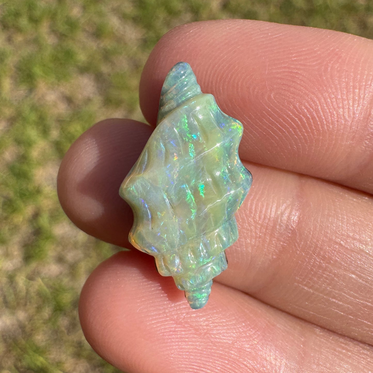 6.61 Ct spiral shell boulder opal carving