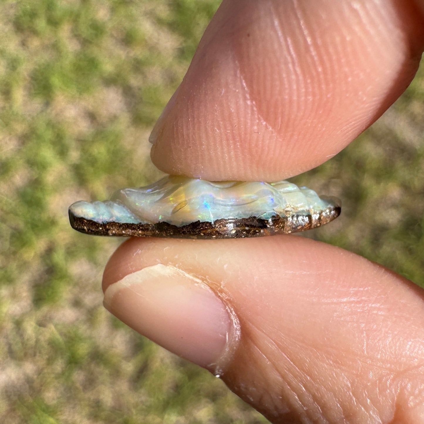 6.61 Ct spiral shell boulder opal carving