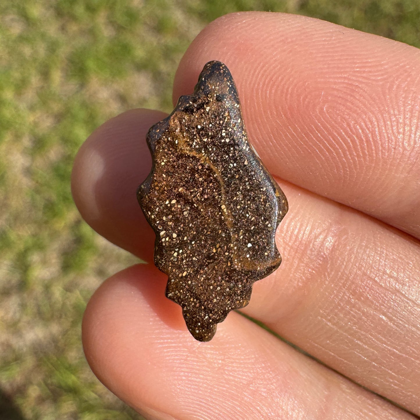 6.61 Ct spiral shell boulder opal carving