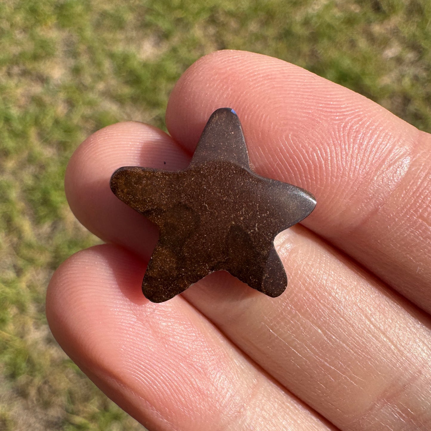 8.01 Ct starfish boulder opal carving