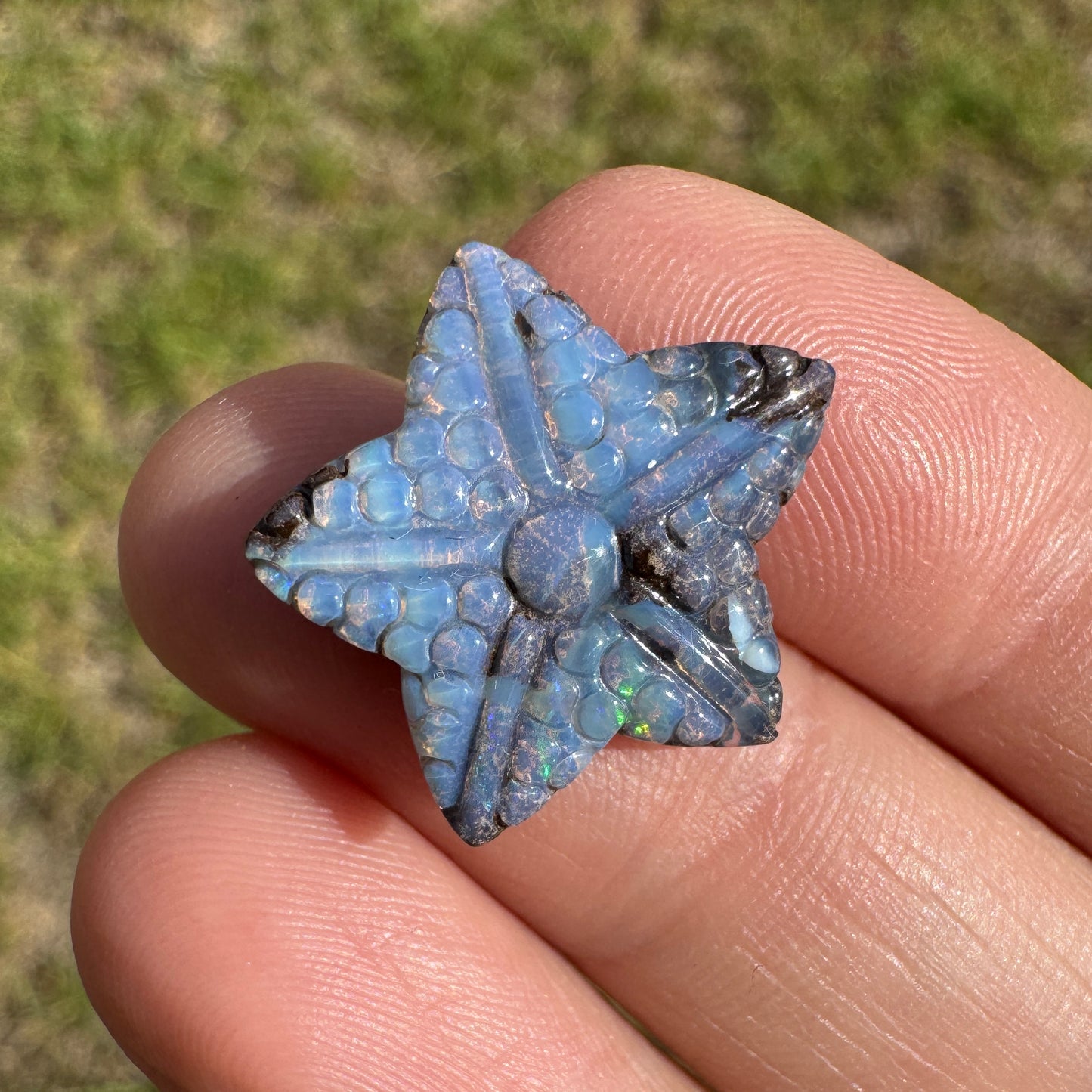 8.54 Ct starfish boulder opal carving