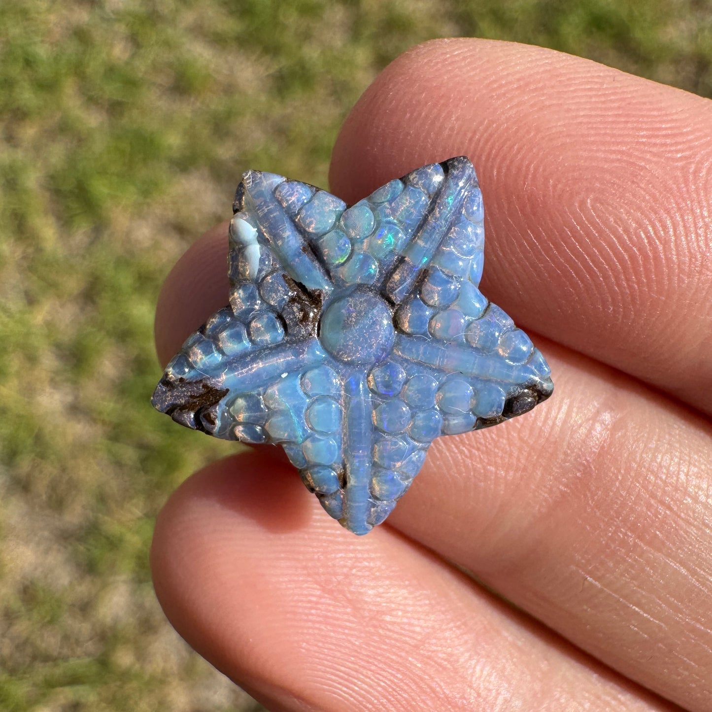 8.54 Ct starfish boulder opal carving